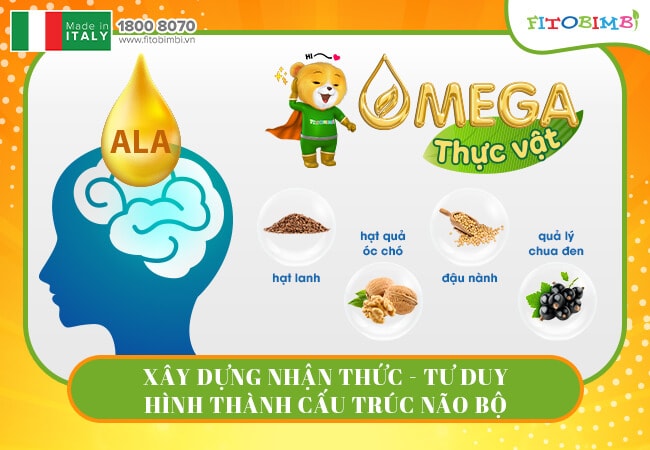 Omega 3 ALA từ thực vật là giải pháp thay thế hoàn hảo, đáp ứng nhu cầu dinh dưỡng cho mọi người
