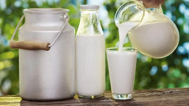 Có nhiều sự khác biệt trong hàm lượng dinh dưỡng của sữa mẹ và sữa tươi